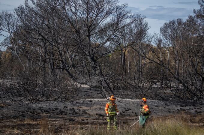 Alcaldesa de Valencia dice que todo apunta a que el incendio en El Saler fue intencionado: "Tenemos un pirómano suelto"