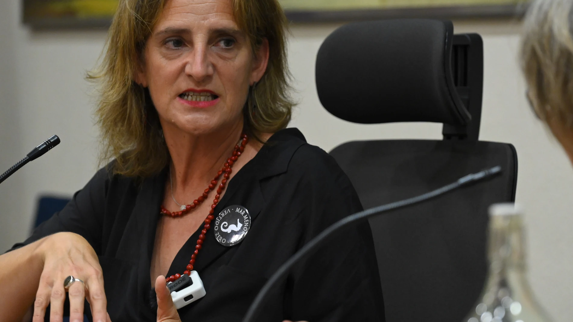 La vicepresidenta Teresa Ribera entra en la Ejecutiva Federal del PSOE