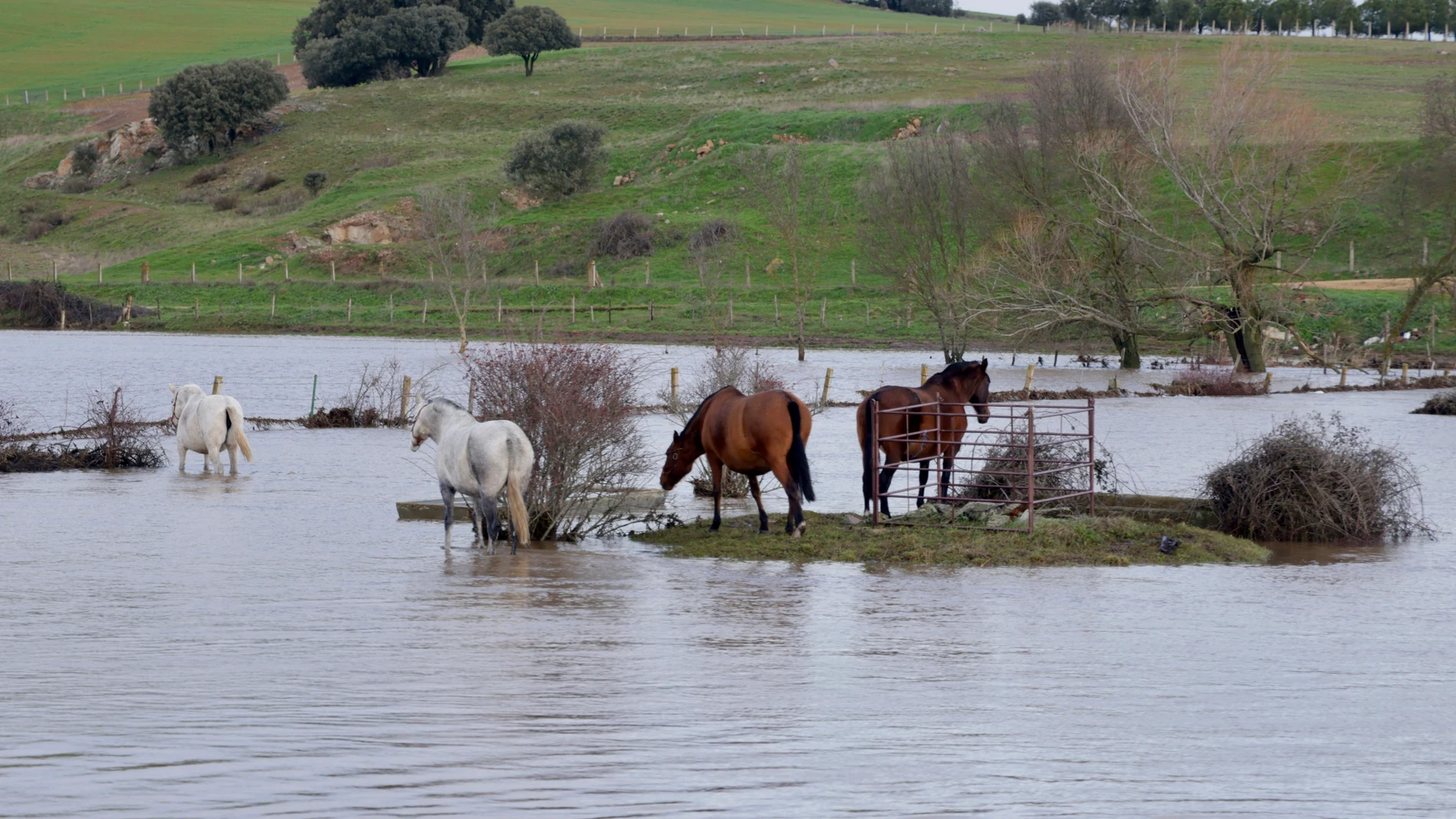 El río Saucelle a su paso por Salamanca