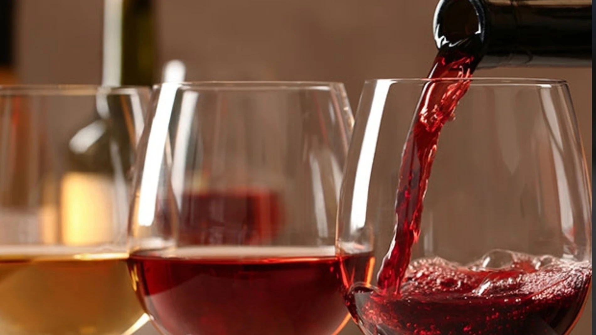 Economía.- Tarima Hill, único vino español entre los 10 mejores  calidad-precio del mundo, según 'Wine Spectator' - Tapas