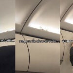 Encuentran una serpiente viva en la cabina superior de un avión 