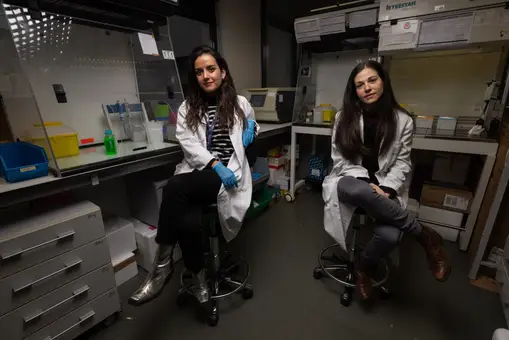 Descubiertos unos biomarcadores que pronostican el mieloma múltiple