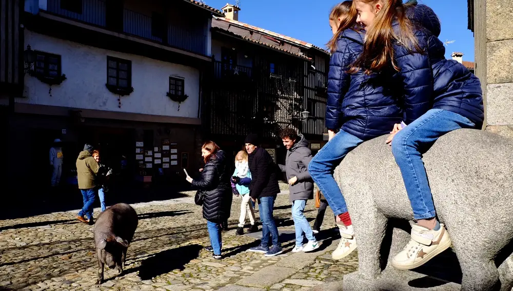 La Alberca acoge la tradicional rifa del Marrano de San Antón y la bendición de animales