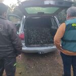 Seis detenidos en Puente Genil y Santaella por el robo de 6.000 kilos de aceitunas