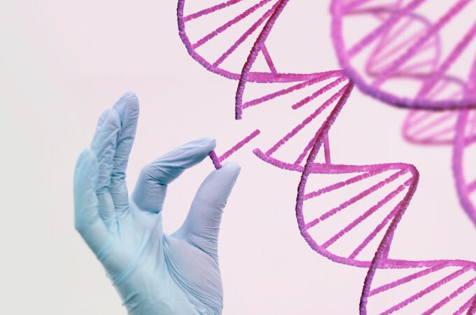 Científicos japoneses dan un paso clave para la reparación de ADN y abren nuevas vías en cáncer