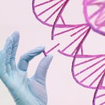 Científicos japoneses dan un paso clave para la reparación de ADN y abren nuevas vías en cáncer