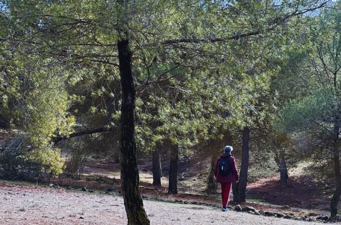 La Zubia organiza excursiones en silencio al bosque en las que los vecinos desconectan del móvil