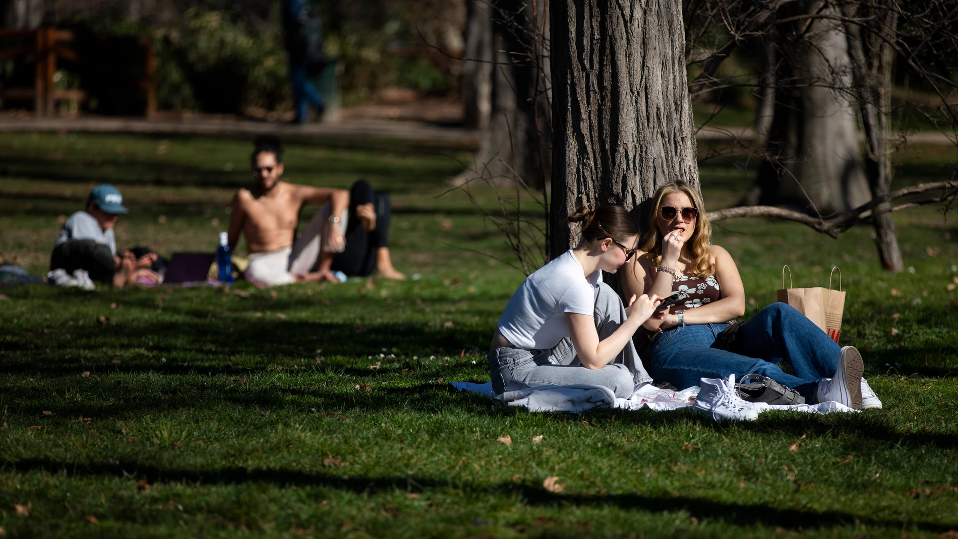 Altas temperaturas en Madrid en el mes de Enero.