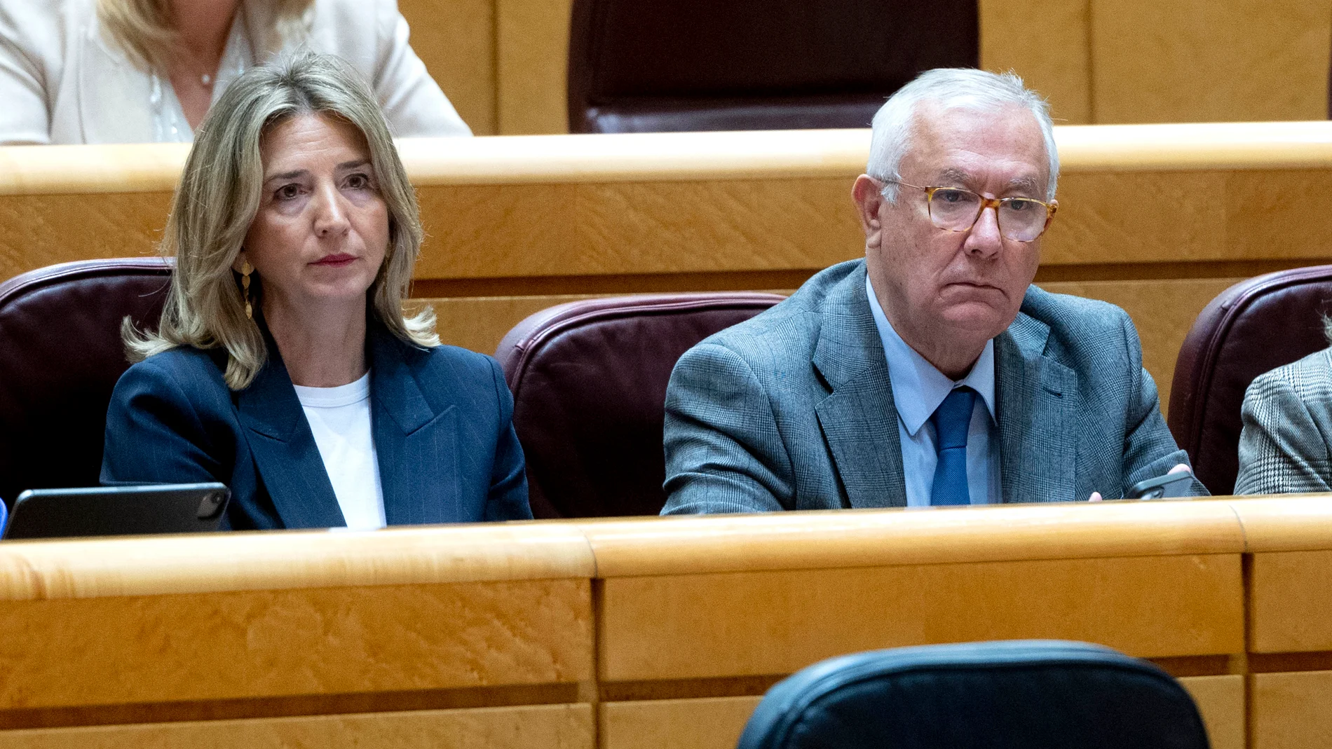 La portavoz del PP en el Senado, Alicia García, durante una sesión plenaria en el Senado, a 25 de enero de 2024, en Madrid (España). La reforma del artículo 49 de la Constitución, referido a las personas con discapacidad, concluye hoy su tramitación en el Senado. Consensuada entre PSOE y PP, esta proposición de ley responde a una demanda del movimiento de la discapacidad articulado en torno al Comité Español de Representantes de Personas con Discapacidad (Cermi). Entre otros puntos, el nuevo ...