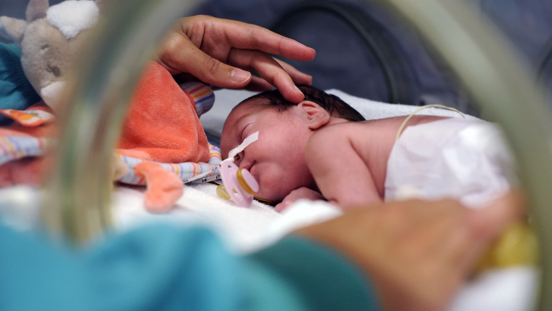 Bebé prematuro en una incubadora