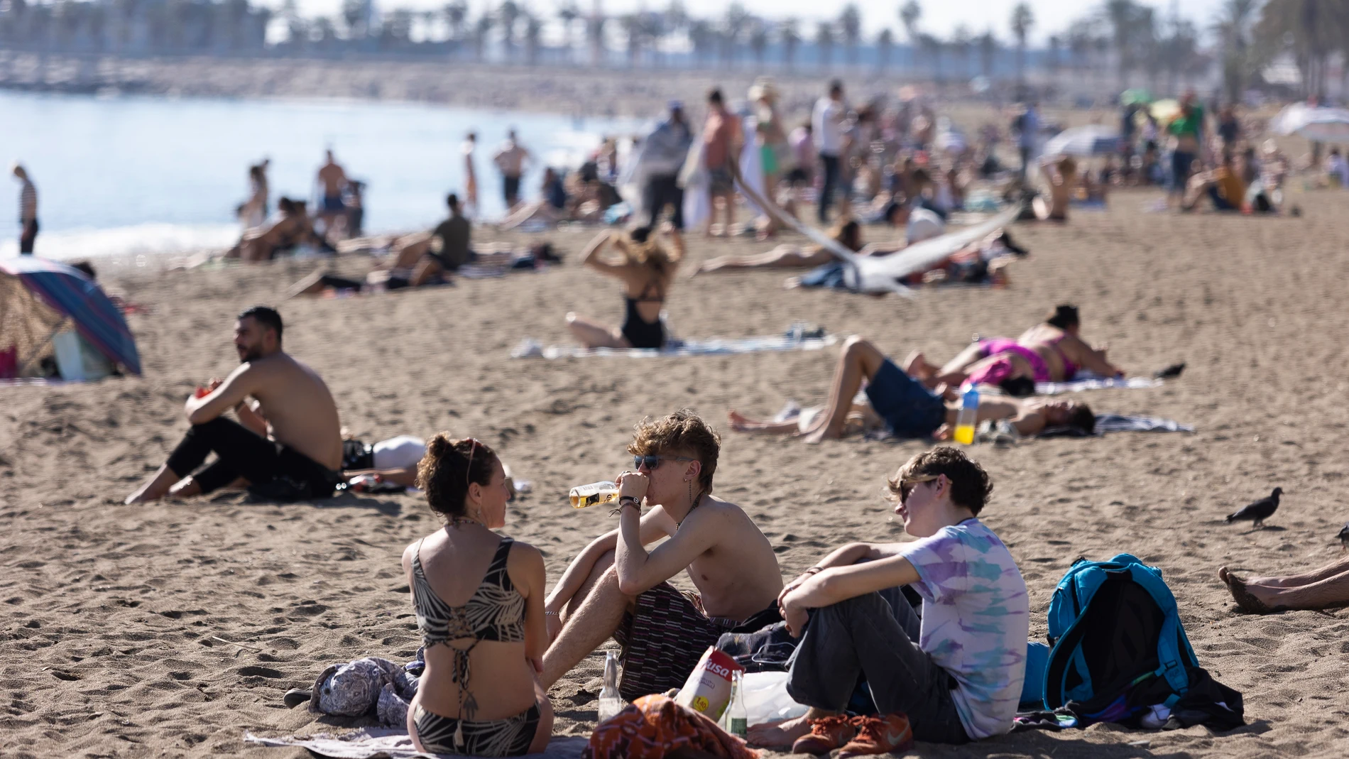 MÁLAGA, 27/01/2024.- Las altas temperaturas, que este sábado han dejado más de 21 grados en la ciudad de Málaga, han animado a residentes y turistas a ir a la playa, pasear y tomar algo en las terrazas, dejando una estampa más propia de la primavera que de un mes de enero de invierno. EFE/ Carlos Diaz