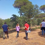 Técnicos de Cesefor en un bosque en las inmediaciones de Toro (Zamora)