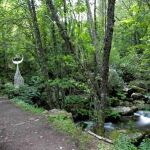 Bosque de Mogarraz en la Sierra de Francia