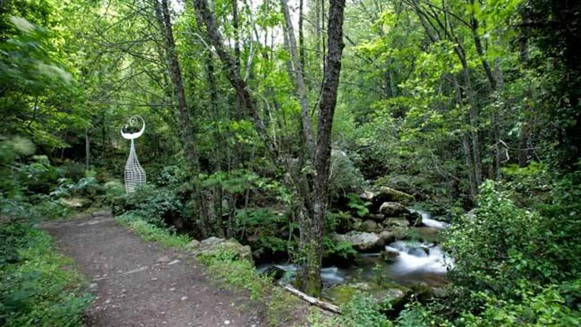 Bosque de Mogarraz en la Sierra de Francia