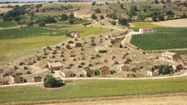Los vinos de las Viñas Viejas de Soria siguen al alza