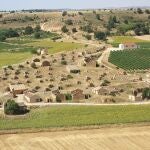 Los vinos de las Viñas Viejas de Soria siguen al alza