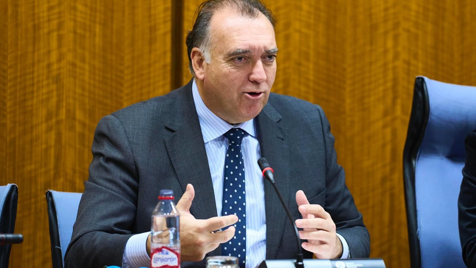 El consejero de Turismo, Cultura y Deporte de la Junta de Andalucía, Arturo Bernal, en la comisión parlamentaria del 2 de febrero de 2024.JOAQUIN CORCHERO / PARLAMENTO DE02/02/2024