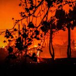 AMP3.- Chile.- Ascienden a 64 los muertos por los incendios en Chile