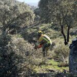 MADRID.-La Comunidad despliega 25 retenes forestales y más 300 efectivos para la prevención de incendios