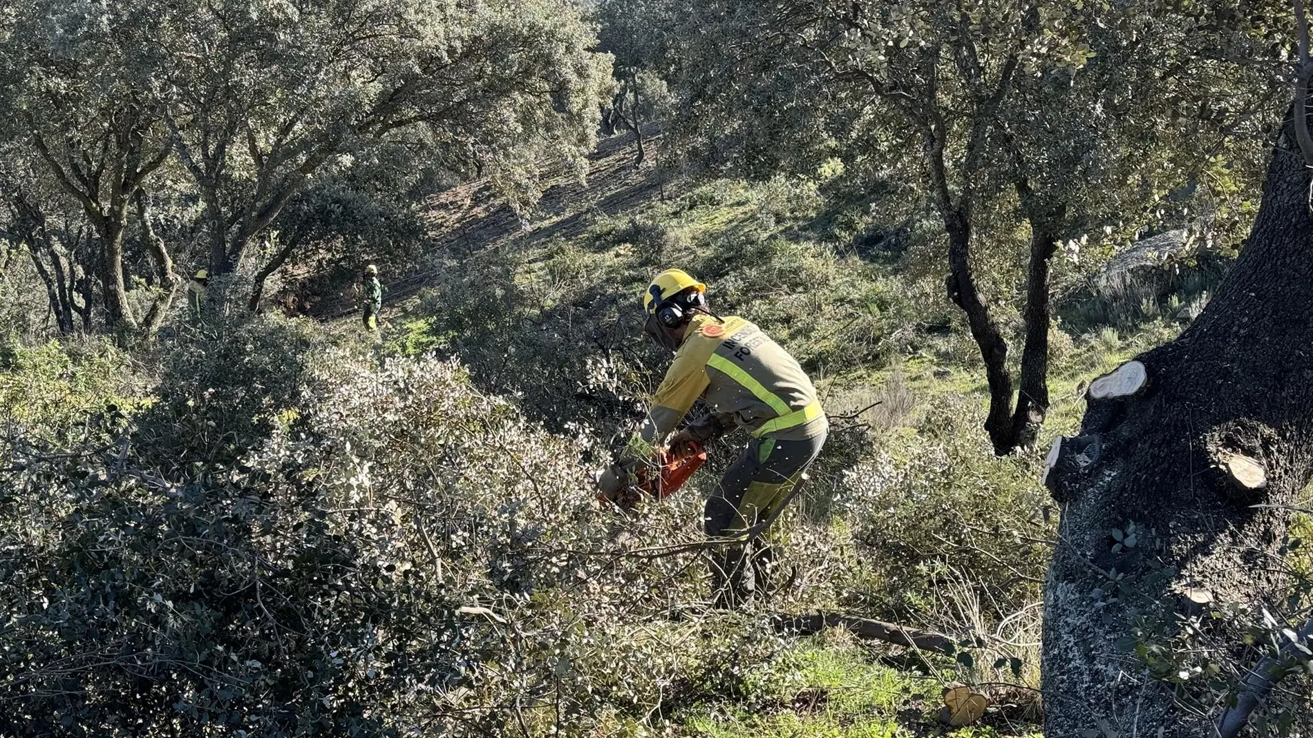 MADRID.-La Comunidad despliega 25 retenes forestales y más 300 efectivos para la prevención de incendios