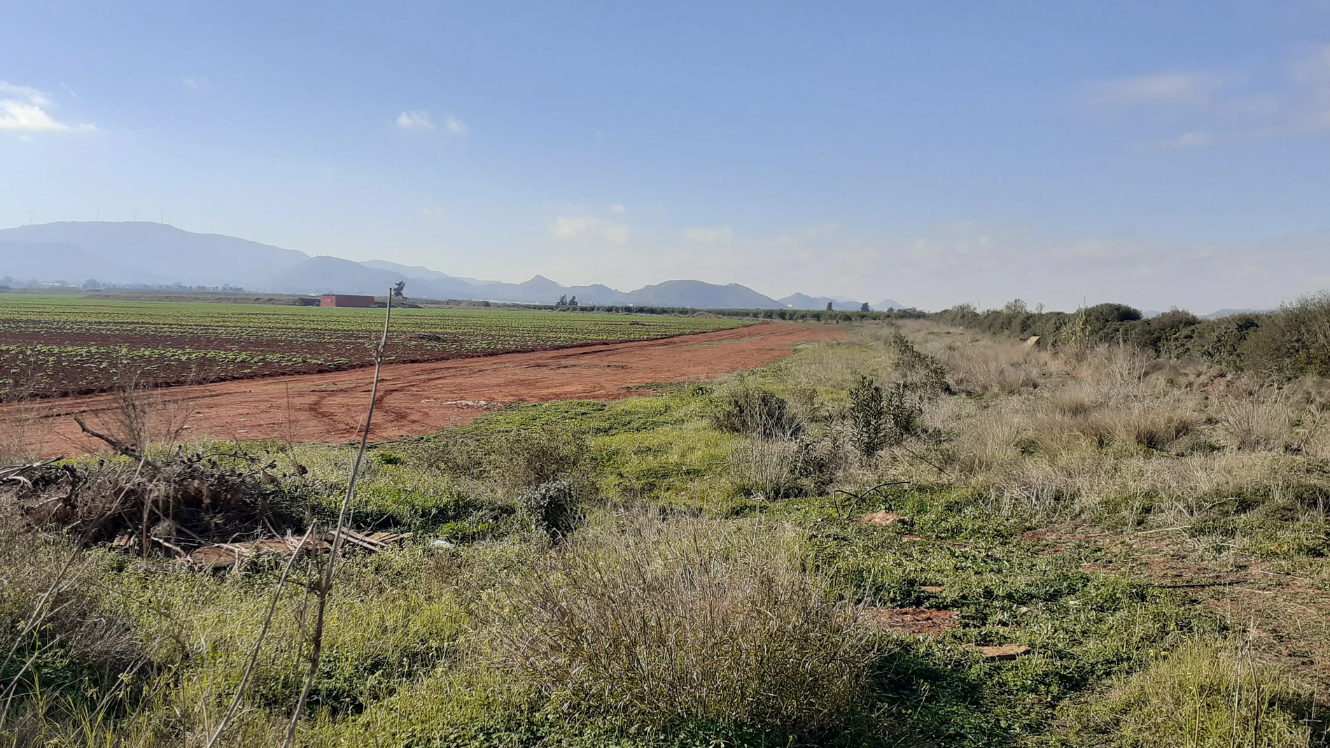 Vía pecuaria de la zona de Torre Pacheco