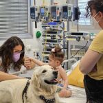 MADRID.-Un estudio confirma que las intervenciones con perros reducen el dolor y la ansiedad en niños ingresados