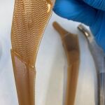 Diseñan un biomaterial hecho con residuos de remolacha para regenerar huesos