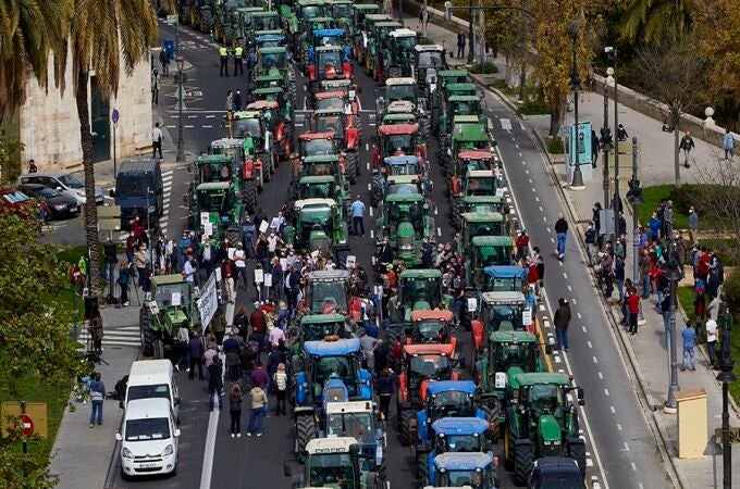 Agricultura.- Los agricultores anuncian tres protestas en Castellón, Valencia y Alicante ante la "crítica situación" del campo