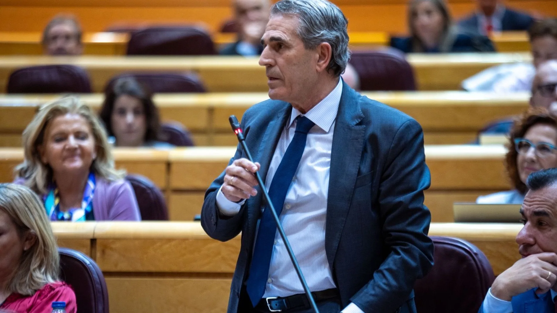 El senador del PP, Juan José Sanz Vitorio, interviene en la Cámara Alta
