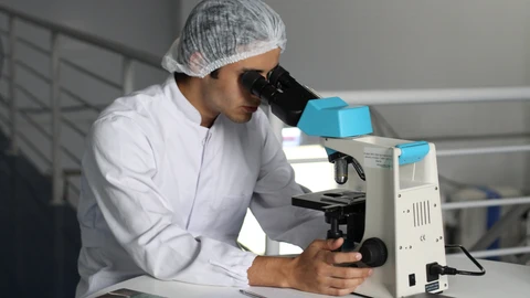 La ley actúa como una garantía de “filtro de calidad” para los proyectos de IA destinados al uso comercial.