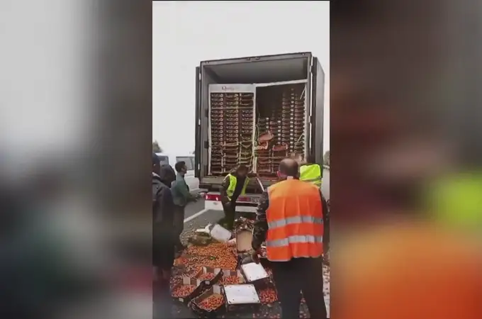 Un grupo de agricultores tira la carga de un camión lleno de tomates de Marruecos 