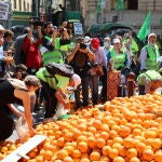 Los agricultores de Alicante se han manifestado de manera espontánea hasta ahora y el viernes 16 han convocado un acto de protesta por la política agraria europea.