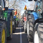 Asaja, COAG y UPA convocan al sector a una tractorada el 14 de febrero en Valladolid
