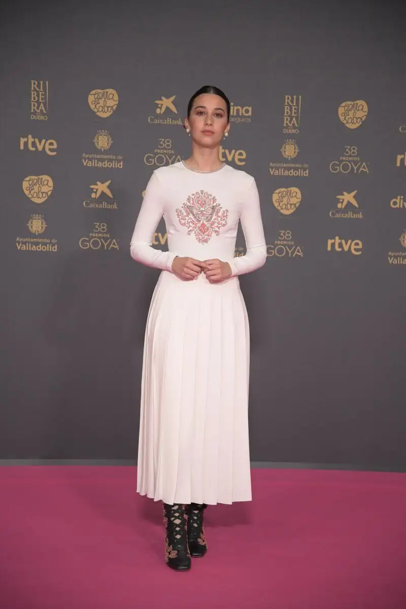 Alfombra rosa de los Premios Goya 2024
