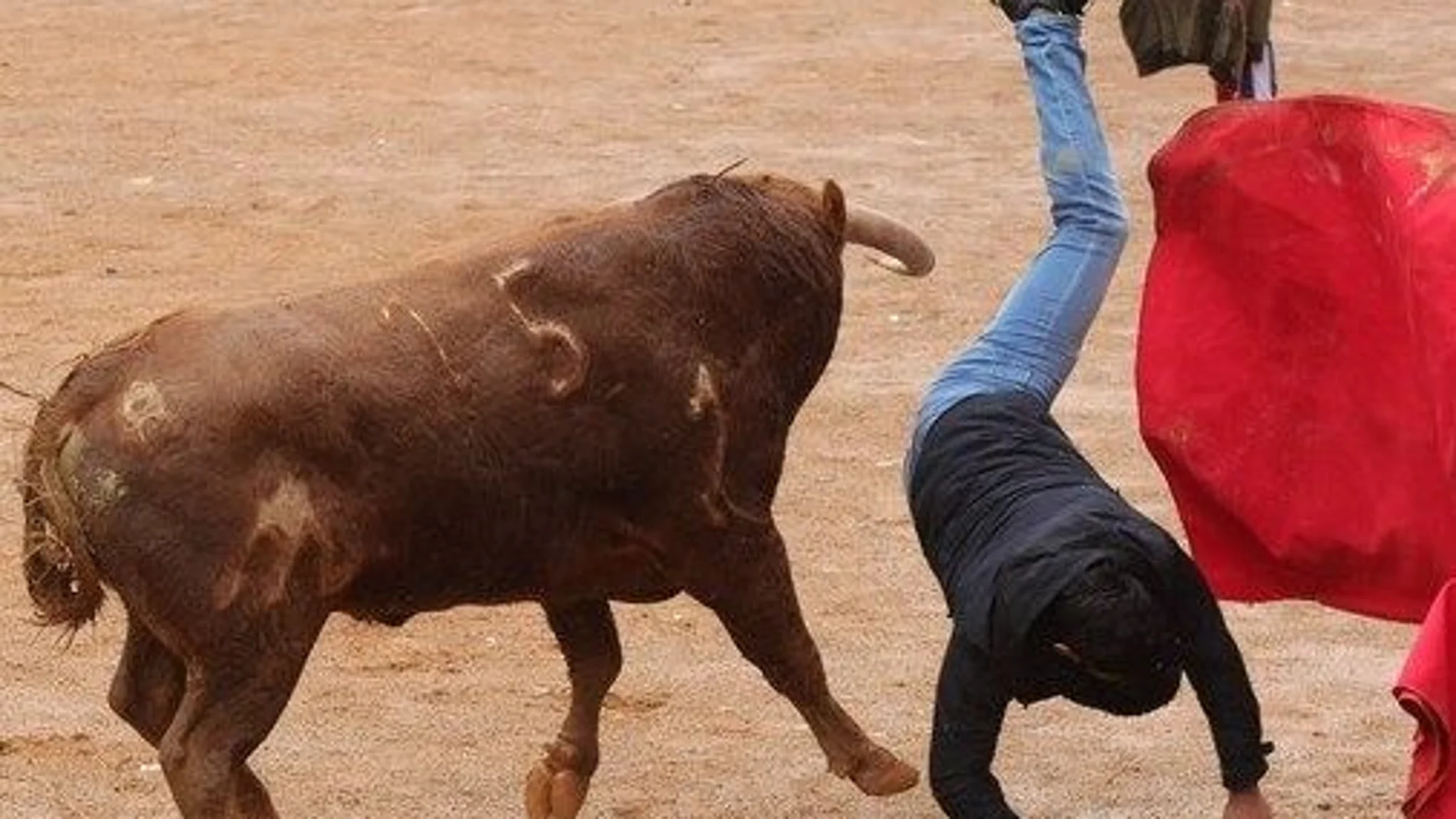 Un toro voltea a un mozo en la capea posterior al encierro