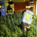 MURCIA.-Sucesos.- Detenidas 19 personas como presuntasresponsables de puntos de venta de droga en varios municipios de la Región