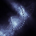 Empiezan a descifrar el "genoma oscuro", un mundo desconocido que produce enfermedades congénitas y cáncer