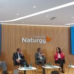  Naturgy avisa de que la inversión de 53.000 millones en redes no se alcanzará sin mejorar la retribución