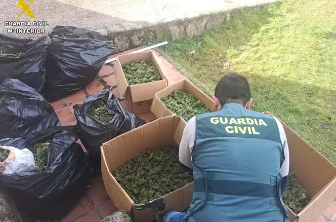 Tres detenidos en Segovia por traficar y cultivar marihuana