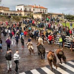 Último encierro del Carnaval del Toro de Ciudad Rodrigo