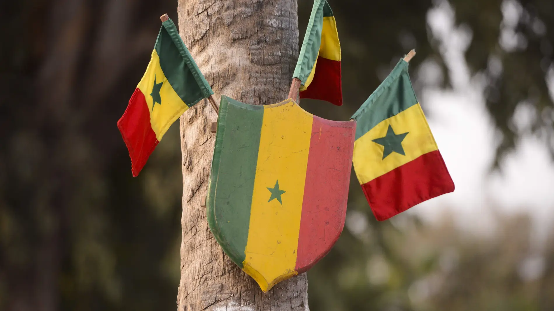 Imagen de archivo de banderas de Senegal (Foto de ARCHIVO) 12/02/2020