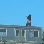 Graban a dos hombres practicando sexo en el techo de un metro de Nueva York en marcha