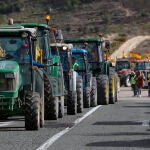 Los agricultores han realizado hoy una tractorada de protesta en Alicante por la política agrararia de la UE.