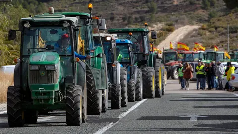 Los agricultores han realizado hoy una tractorada de protesta en Alicante por la política agrararia de la UE.