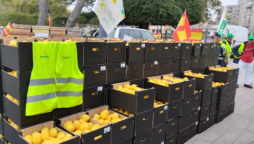Limones listos para repartir entre los ciudadanos