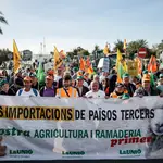 Decenas de tractores entran en València para concentrarse en el Puerto en la tercera protesta conjunta de las principales organizaciones agrarias