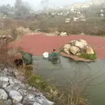 Unos técnicos eliminanlos helechos de agua en la Charca de la Alberca, en Cenicientos