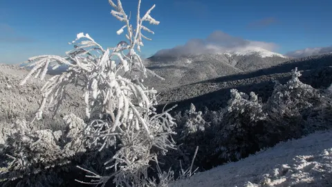 MADRID.-Aviso amarillo por nieve hoy y mañana en la Sierra de Madrid