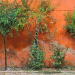 «Jardín», de 1966, con el color rojizo que tomó de la pintura mural de las villas romanas
