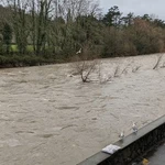 El río Oria aumenta su nivel por las lluvias persistentes